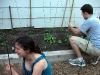 garden-12
