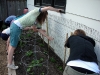 garden-13