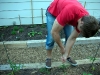 garden-15