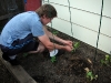 garden-17