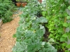 garden-26