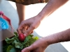csa-delivery