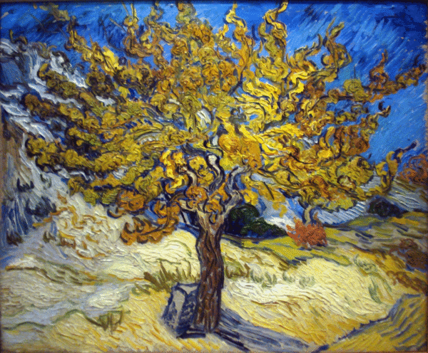 Mustard Seeds and Mulberry Trees
